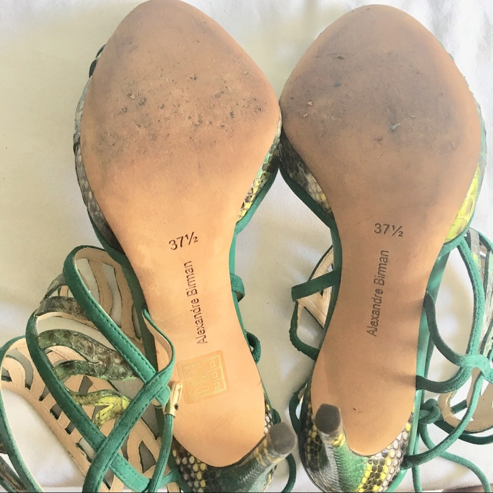 Alexandre Birman - Picture 8 of 8
